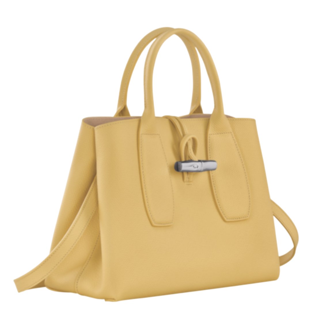 Dernier clearance sac longchamp